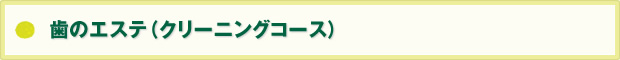 歯のエステ　クリーニングコース