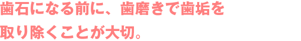 歯石になる前に、歯磨きで歯垢を取り除くことが大切。