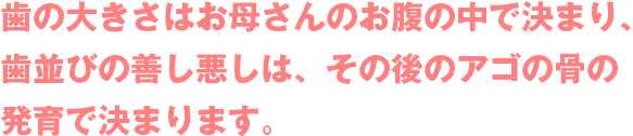 歯の大きさはお母さんのお腹の中で決まり、歯並びの善し悪しは、その後のアゴの骨の発育で決まります。